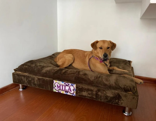Inyección etiqueta Forma del barco Cheap Bargain Cama Colchoneta Perros de Raza Pequeña o Mediana Cojín para Mascotas de Algodón y Lino Antideslizante Blando Cómodo para Verano Cuatro Estaciones #2 XL Los productos más vendidos Compras satisfechas Inyección etiqueta Forma del barco Cheap Bargain Cama Colchoneta Perros de Raza Pequeña o Mediana Cojín para Mascotas de Algodón y Lino Antideslizante Blando Cómodo para Verano Cuatro Estaciones #2 XL Los productos más vendidos Compras satisfechas