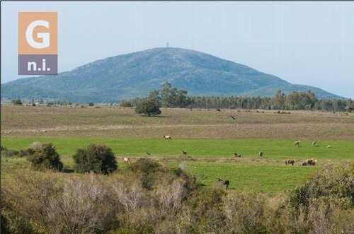 Campos Y Fracciones En Pan De Azúcar (ruta 60)