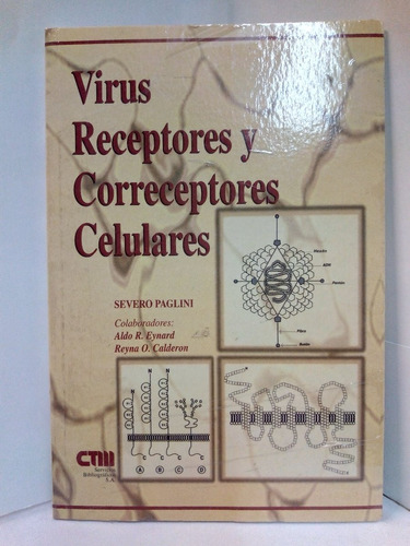 Virus Receptores Y Correceptores Celulares - Paglini Severo 