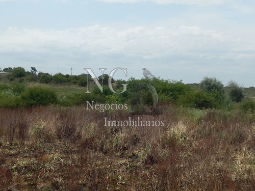 Imagen 12 de 14 de 3 Padrones De Campo Para Inversión!