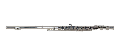 Flauta Llave De C Plateado Wesner Transversal Estuch Pfl2000