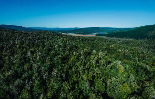 Reserva Natural De 22, 53 Has En Calfuco - Costa De Valdivia