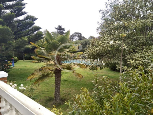 Gran Casa 2 Pisos, 5 Dorm, Jardín, Los Pinos De Reñaca
