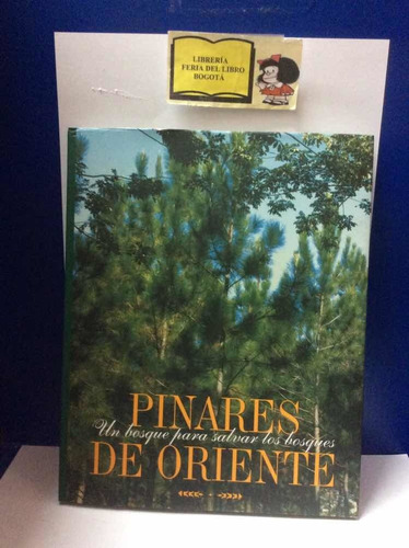 Ecología - Pinares De Oriente - Venezuela - González - 1998
