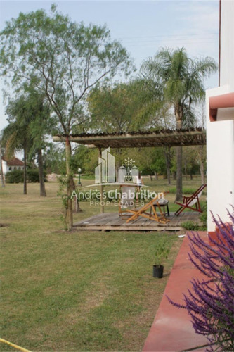 Imagen 3 de 14 de Quinta Cítrica 190 Has. Federacion - Entre Rios