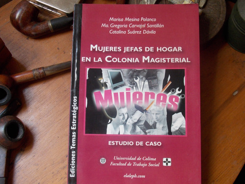 Mujeres Jefas De Hogar En La Colonia Magisterial