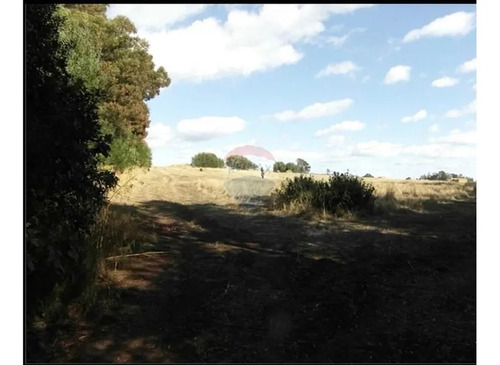 Terreno 4,8 Ha En Temuco ¡ideal Para Un Proyecto!