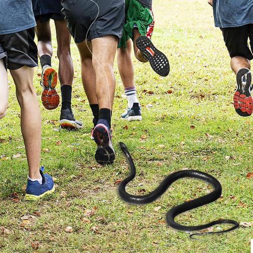 Serpiente De Goma Broma De Serpiente Falsa Juguete De Broma