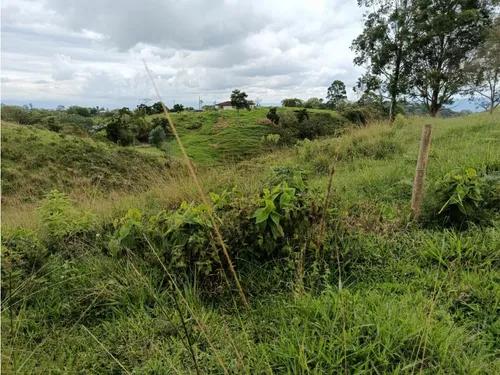 Venta Finca Filandia A Borde De Carretera - 20 Cuadras