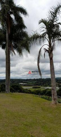 Imagem 8 de 10 de Área À Venda, 240000 M² Por R$ 6.000.000,00 - Jardim Social - Campo Largo/pr - Ar0006
