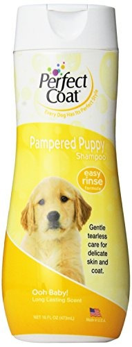 Perfect Coat Pampered Puppy Champú Baby Powder Scent