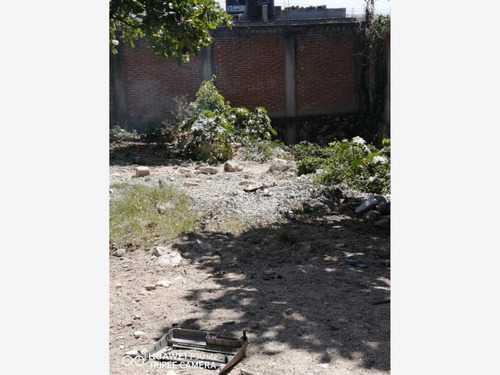 Imagen 2 de 6 de Terreno En Venta Santa Cruz