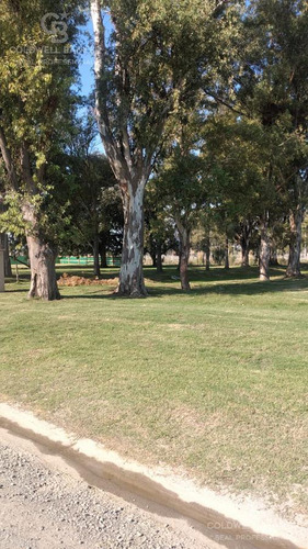 Lote En Lagos De San Eliseo - Canning