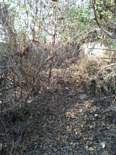 Imagen 8 de 18 de Terreno En Venta 560 Mts. Loma Larga (satelite)