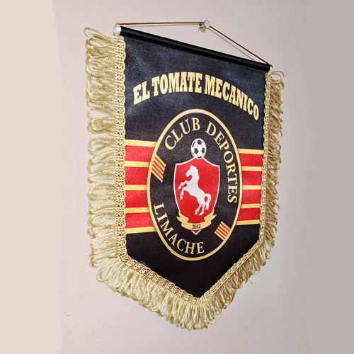 Pack De Deportes Limache