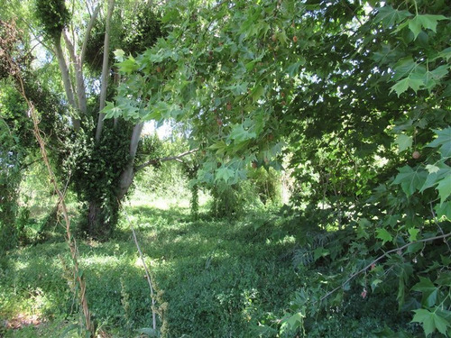Imagen 7 de 16 de Sitio Con Acceso A Estero Puangue