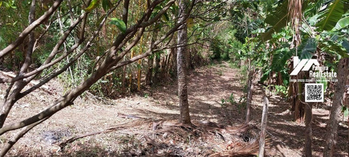 Imagen 6 de 6 de Venta De Finca De 2mz Agricola En Niquinohomo