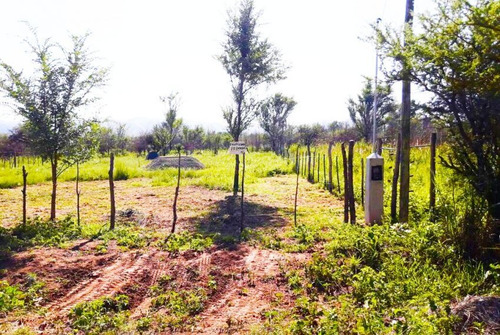 Imagen 3 de 3 de Lote En Venta De 800m2 Ubicado En Cosquín