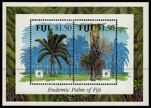 Flora - Palmera Endémica - Fiji - Block Mint