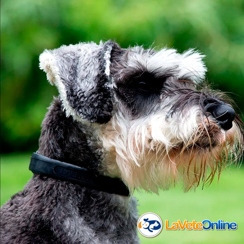 Imagen 7 de 10 de Adaptil Collar Feromona Perros Grandes Ansiedad Anti Stress