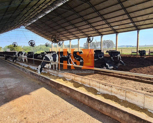 Imagem 12 de 21 de Fazenda - Fa00002 - 69904513