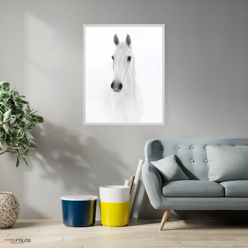 Cuadro Decorativo Fine Art Caballo Blanco 40x50 Cm 