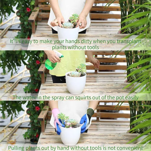5 Herramientas Para Suculentas, Mini Herramientas De Jardn,