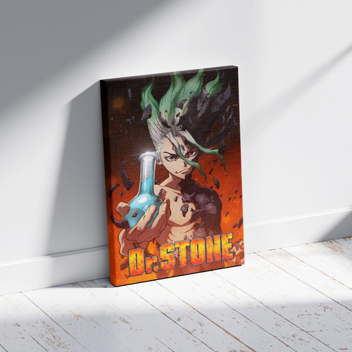 Cuadro - Poster Dr Stone 60 X 40