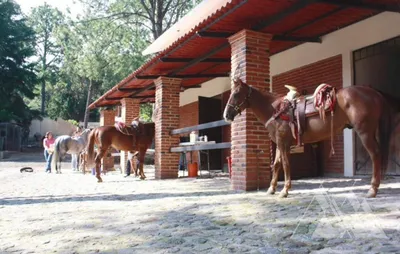 Rancho en venta