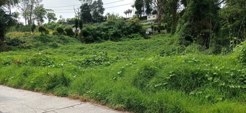 Imagen 5 de 10 de En Venta A Orilla De Calle, En La Colonia Tovar