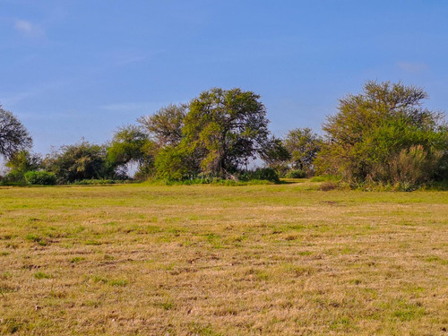 Oportunidad Gran Lote Interno De 3556 M2 Muy Lindas Vistas En Venta - Carmelo Golf