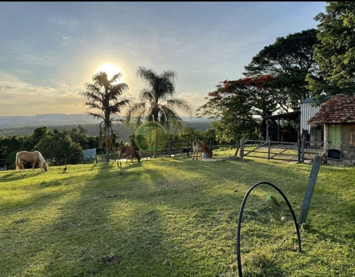 Imagem 6 de 24 de Excelente Sítio À Venda Com Ponto Comercial - Distrito De Piramboia - Anhembisp - 00038