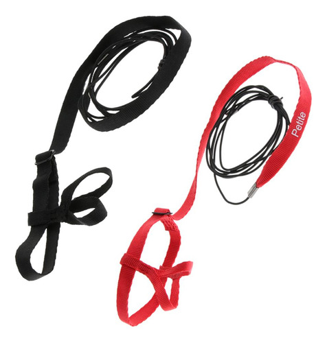 Arnés Ajustable Cuerda Entrenamiento Accesorios De Animales