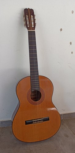 Guitarra Acústica Usada