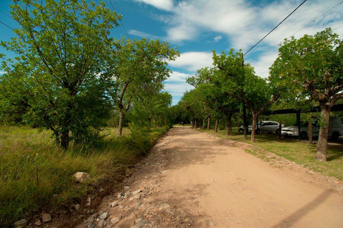 Imagen 5 de 9 de Lote De 1500 M2 En Venta, En Las Sierras De Córdoba.