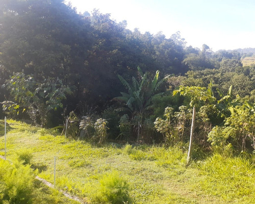Imagem 2 de 6 de Terreno - Te01106 - 69662927