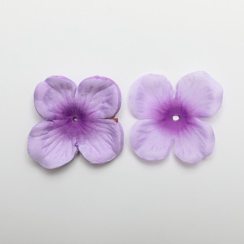 Pétalos De Hortensias Púrpura Bicolor Tal Como Se Describe
