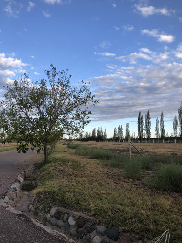Terreno En Venta En Barrio Privado Viñas Del Sur - San Rafael - Mendoza