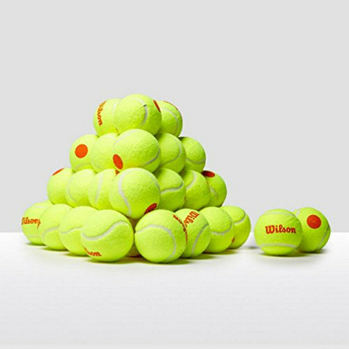 Wilson Starter Orange Pelotas De Tenis, 48-pack.