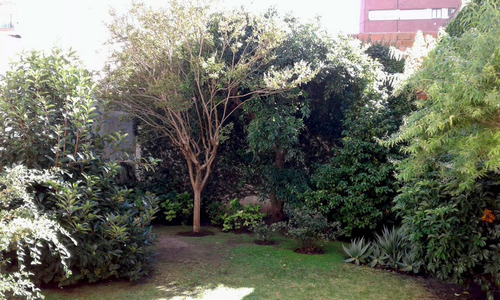 Departamento 2 Ambientes Más Escritorio En Venta En Mar Del Plata