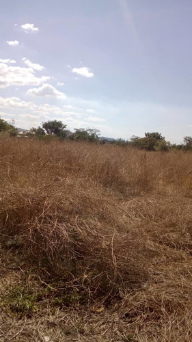 Imagen 8 de 9 de Venta De Finca En Santa Cruz De Aragua. Via El Guaril