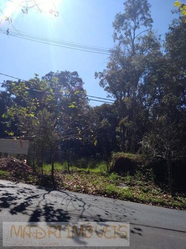 Imagem 9 de 15 de Terreno Para Venda Em Curitiba, Barreirinha - 270_2-1042240