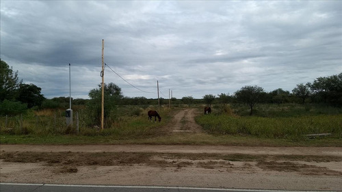 Imagen 1 de 2 de Venta De Terrenos En Las Tapias