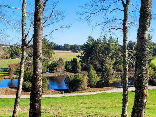 Preciosa Parcela Con Bosque De Robles Y Vista A Lagunas