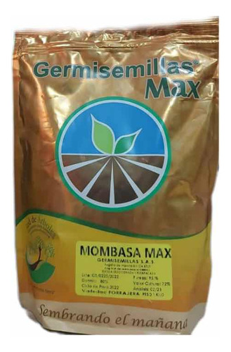 Semilla Pasto Mombasa Brasilera 100% 1 Kilo