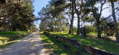 Fraccion De 8.1000 M² Parquizada Y Forestada