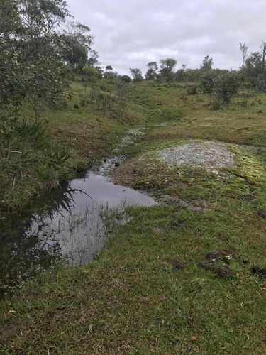 Imagen 8 de 9 de Buen Campo