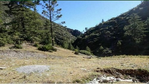 Imagen 4 de 6 de Venta De Terreno En Arteaga Coahuila