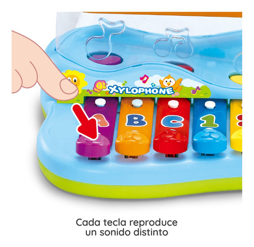 Imagen 4 de 10 de Xilofon Infantil Para Bebe Con Martillo Ok Baby