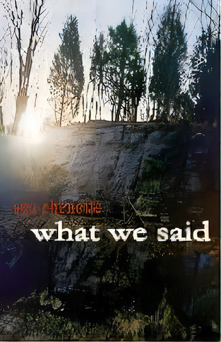 What We Said, De Sue Chenette. Editorial Motes, Tapa Blanda En Inglés
